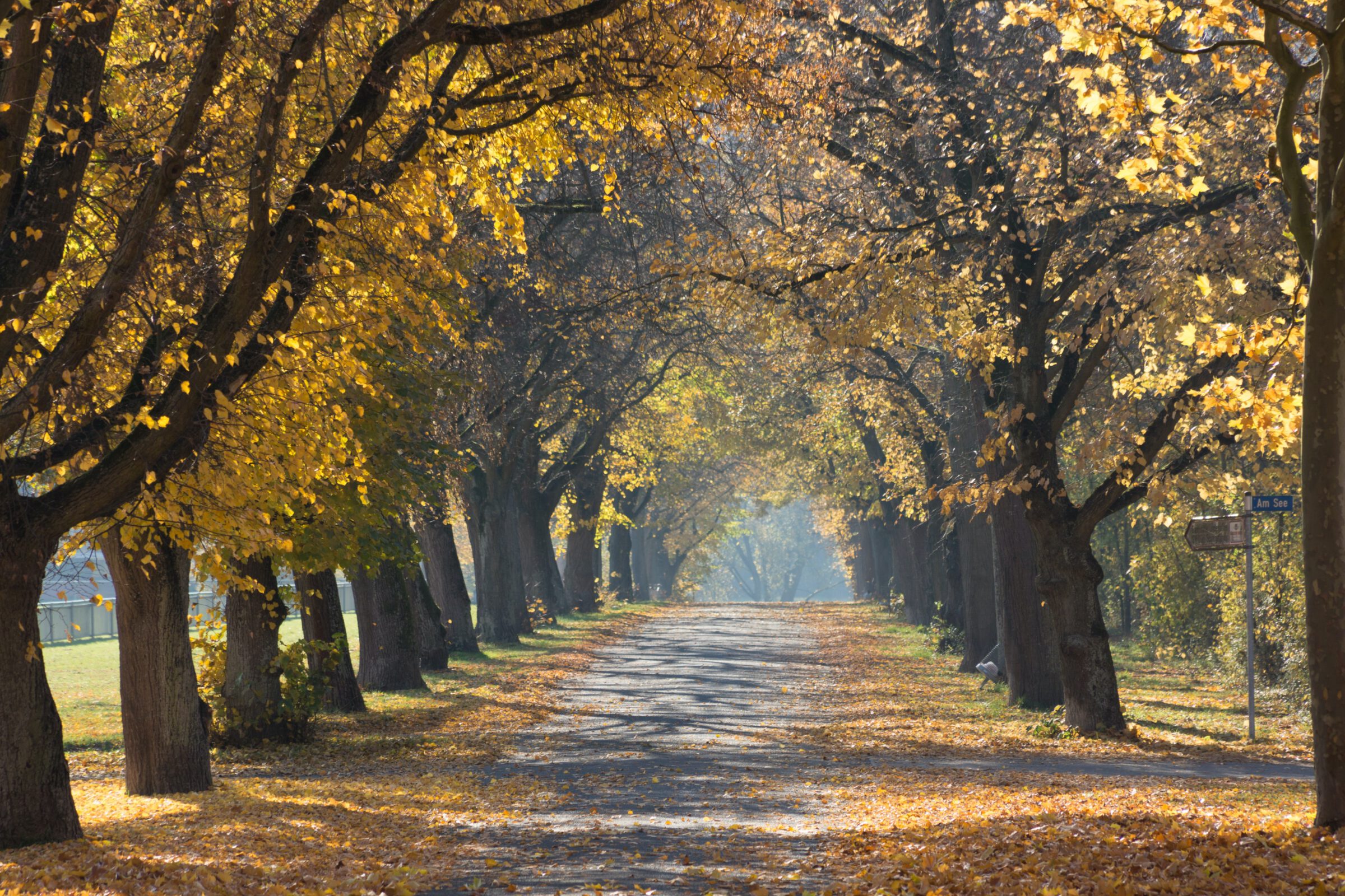 De herfst dient zich aan